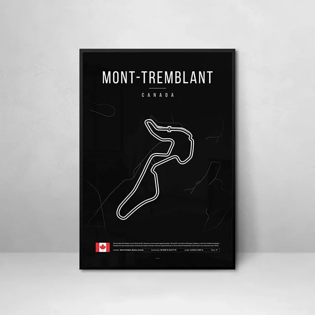 ROSHK F1 World Race Track Canvas Print – Modern Wall Art Poster for Racing Fans - Image 30